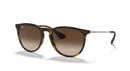 Ray-Ban Erika 0RB4171/865/1354-Rubber Havana/Brown