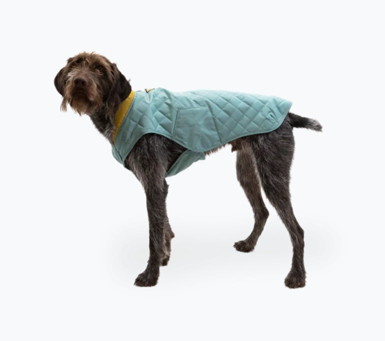 Ruffwear Stumptown Quilted Dog Coat-Assorted Colours