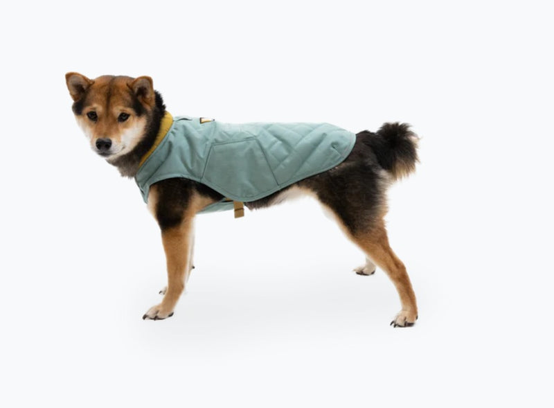 Ruffwear Stumptown Quilted Dog Coat-Assorted Colours