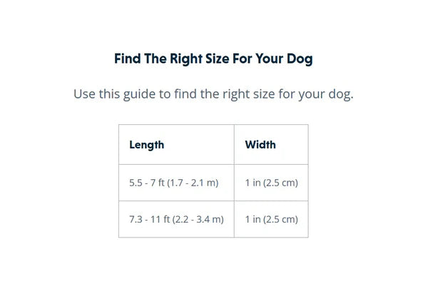 Ruffwear Roamer Bungee Dog Lead-Assorted Colours