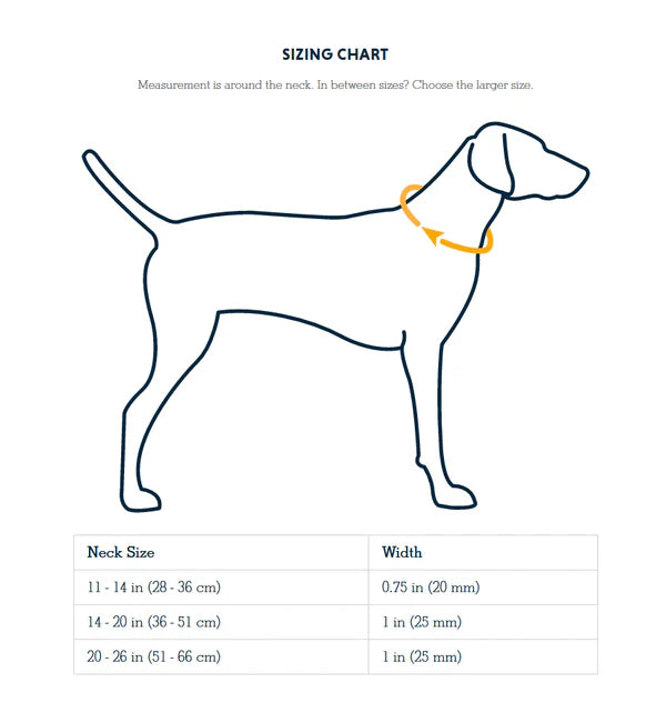 Ruffwear Crag Reflective Dog Collar-Assorted Colours