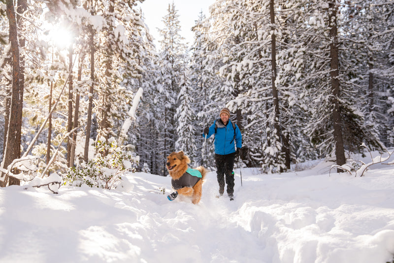 Ruffwear Cloud Chaser Jacket-Aurora Teal