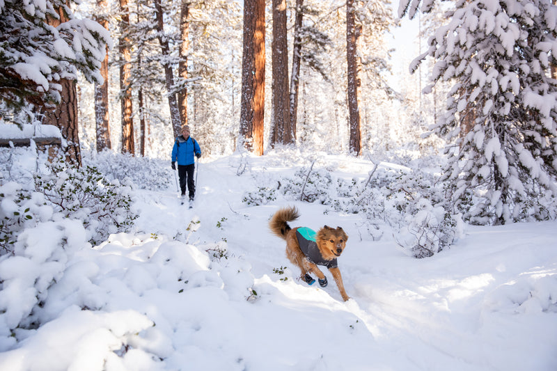 Ruffwear Cloud Chaser Jacket-Aurora Teal