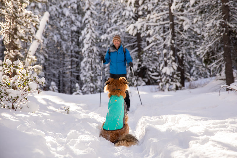 Ruffwear Cloud Chaser Jacket-Aurora Teal