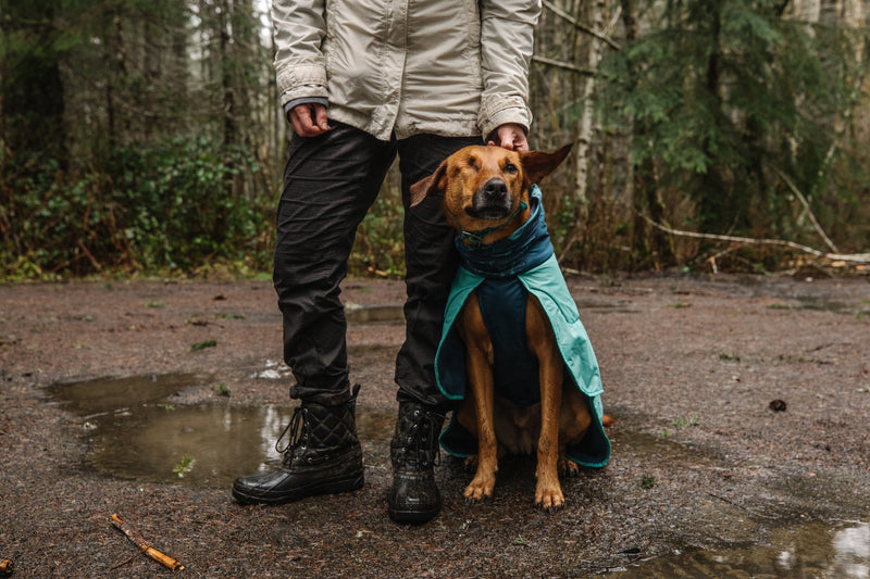 Ruffwear Dirtbag Dog Towel-Aurora Teal