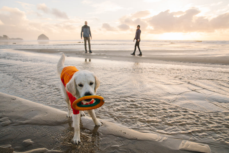 The Ruffwear Undercoat Water Jacket-Campfire Orange