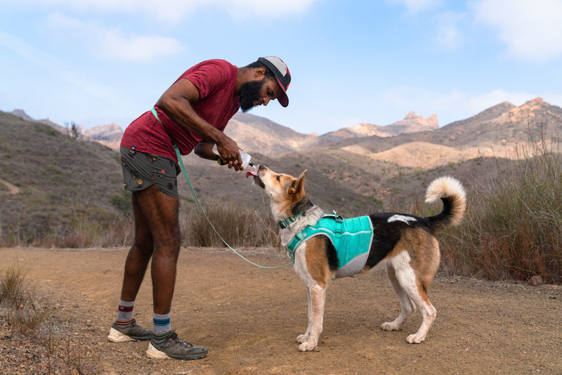 Ruffwear Swamp Cooler Zip Vest-Aurora Teal