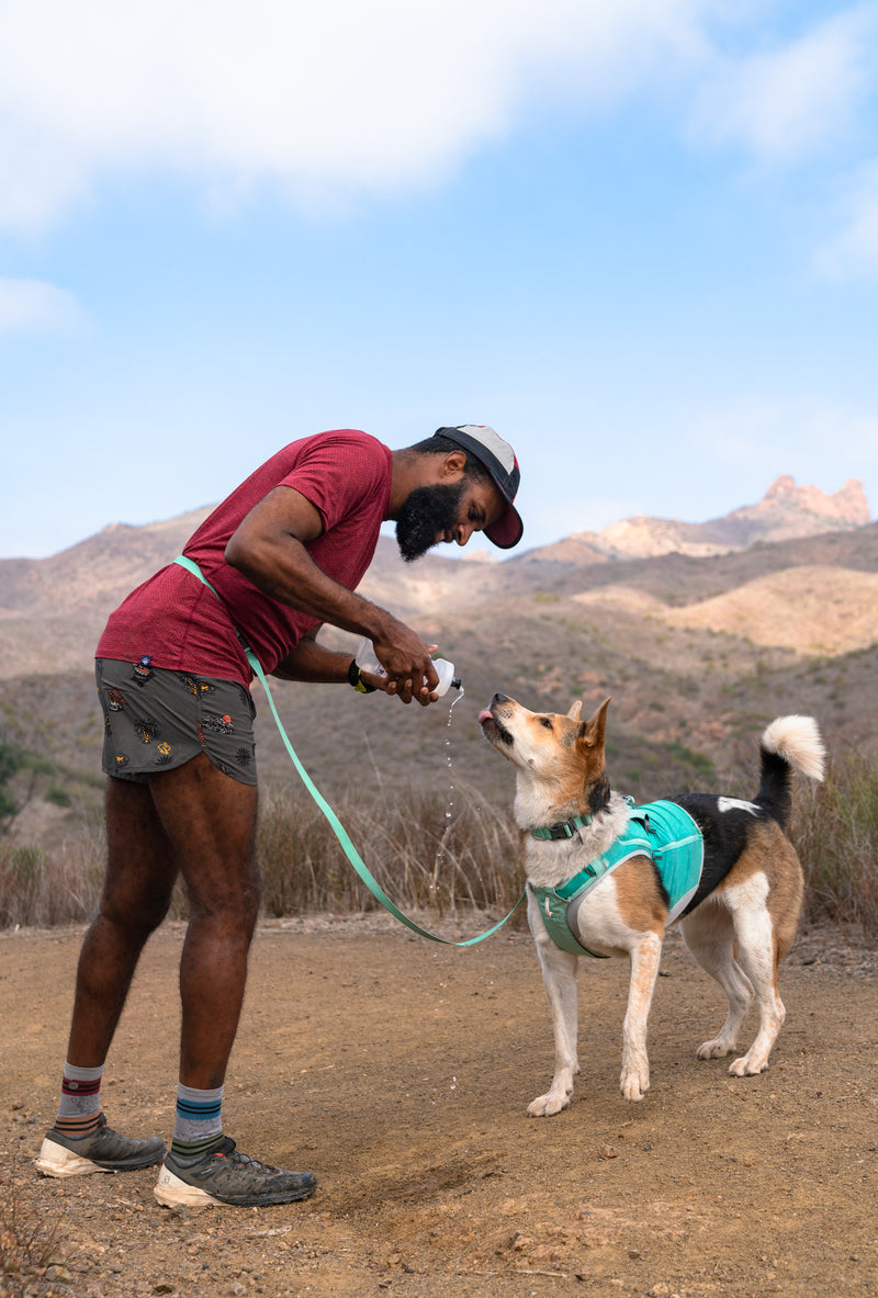 Ruffwear Swamp Cooler Zip Vest-Aurora Teal