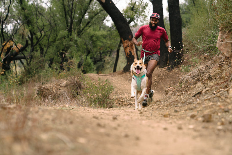 Ruffwear Swamp Cooler Zip Vest-Aurora Teal