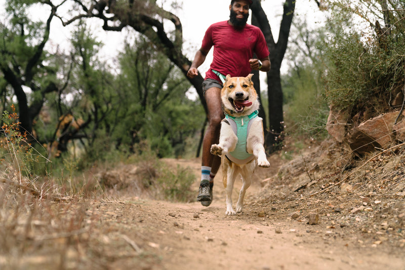 Ruffwear Swamp Cooler Zip Vest-Aurora Teal