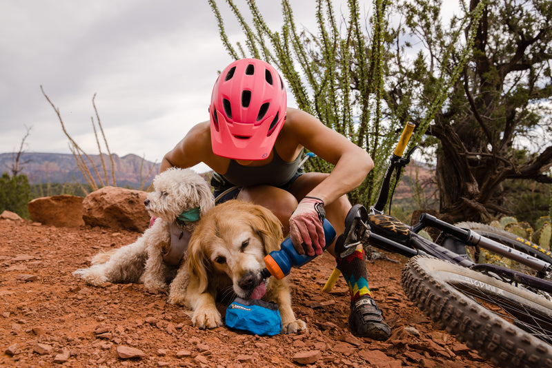 Ruffwear Swamp Cooler Zip Vest-Salmon Pink