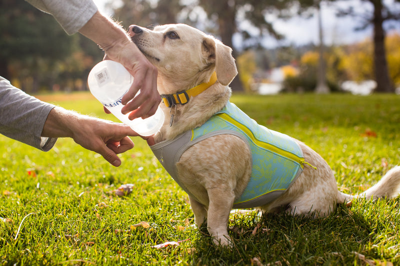 Ruffwear Swamp Cooler Zip Vest-Blue Mist