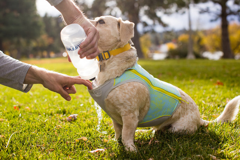 Ruffwear Swamp Cooler Zip Vest-Blue Mist