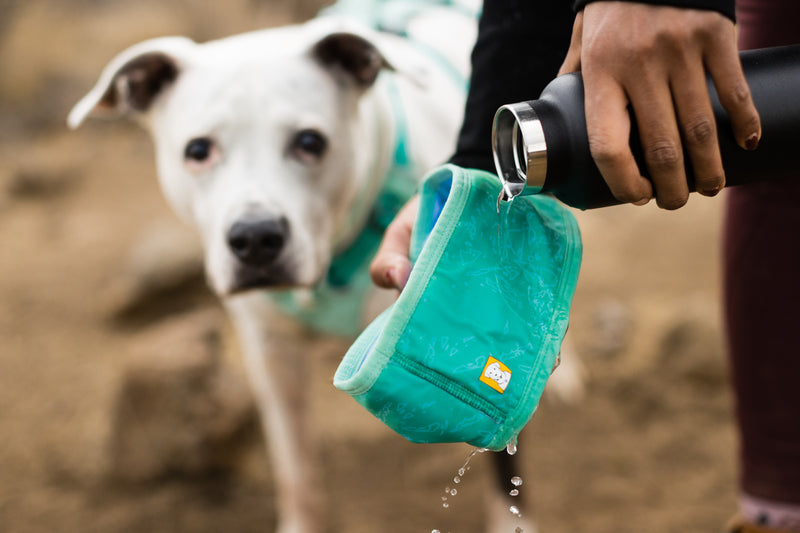 Ruffwear Swamp Cooler Neck Gaiter-Aurora Teal/Heliotrope Purple