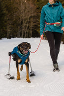 Ruffwear Quinzee Jacket-Blue Moon