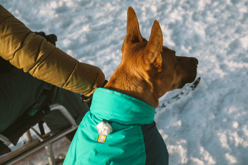 Ruffwear Vert Jacket-Aurora Teal