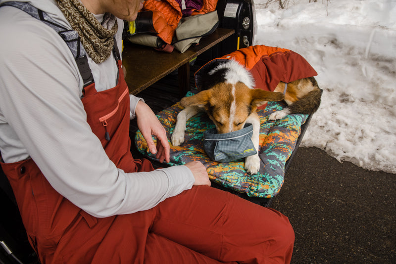 Ruffwear Great Basin Bowl-Slate Blue