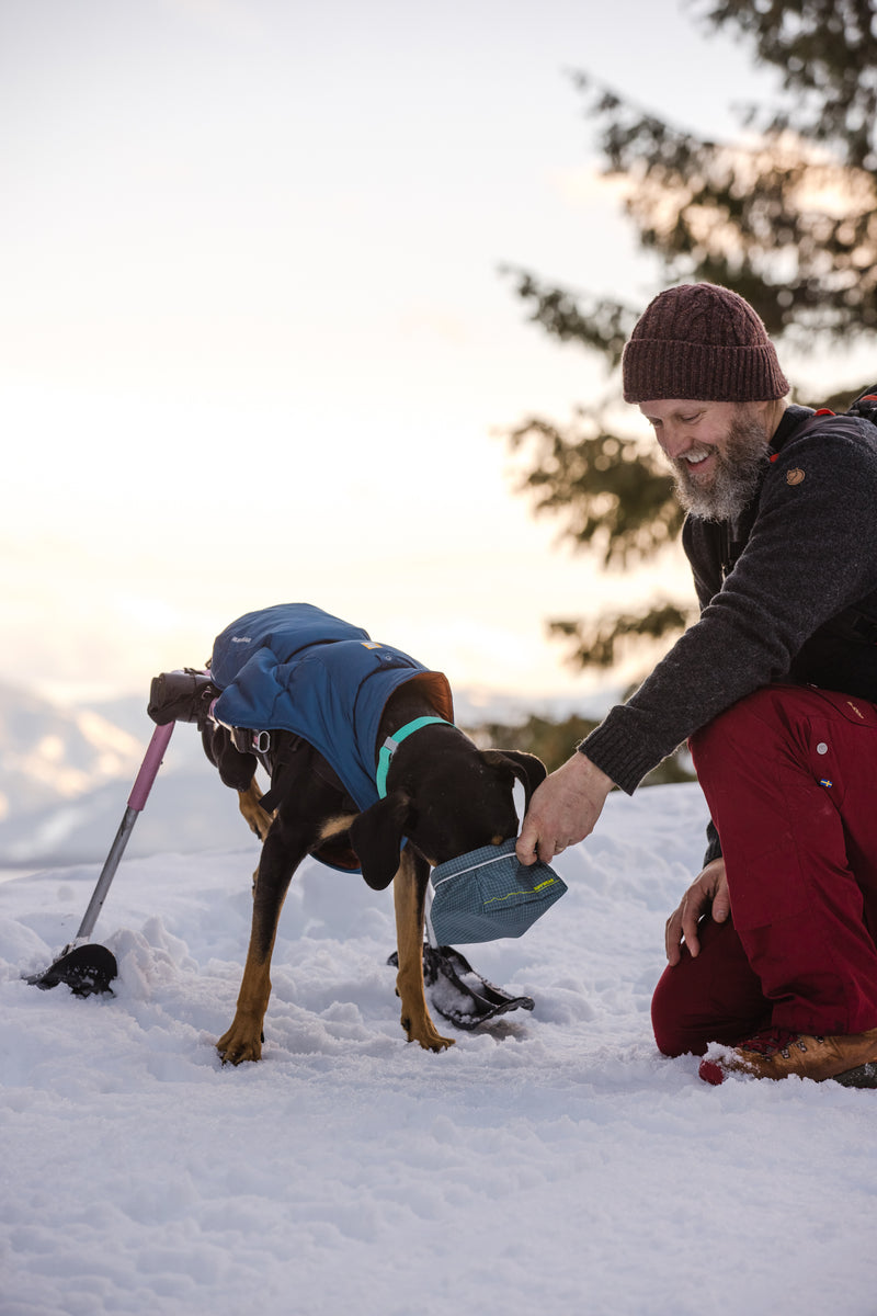 Ruffwear Great Basin Bowl-Slate Blue