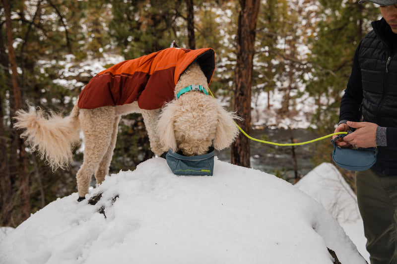 Ruffwear Great Basin Bowl-Slate Blue