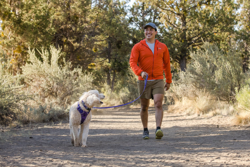 Ruffwear Front Range Dog Harness-Red Clay