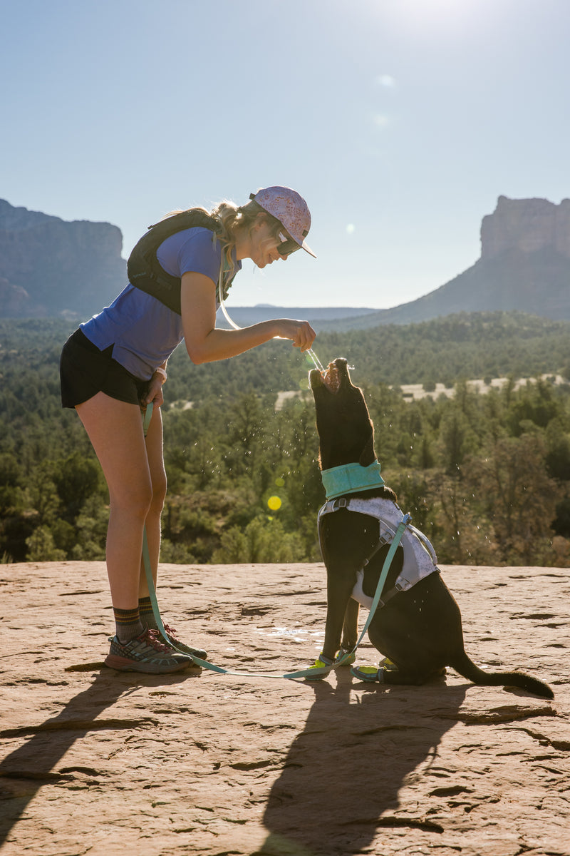 Ruffwear Swamp Cooler Harness-Graphite Gray