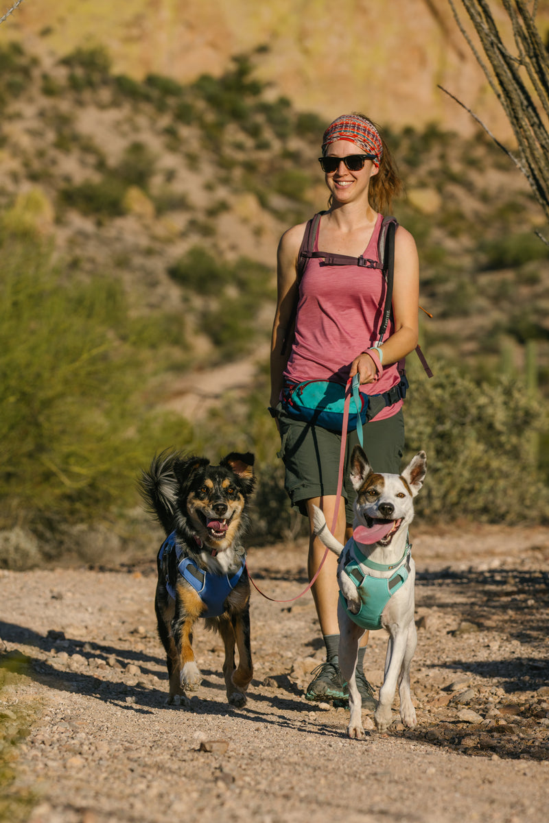 Ruffwear Swamp Cooler Harness-Heliotrope Purple