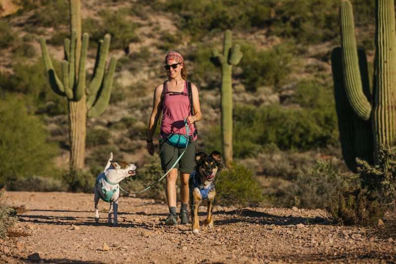 Ruffwear Swamp Cooler Harness-Heliotrope Purple