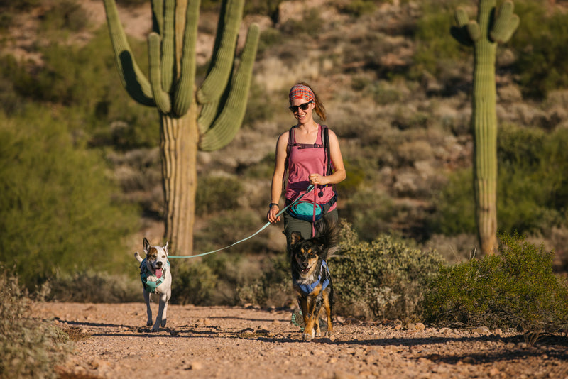 Ruffwear Swamp Cooler Harness-Heliotrope Purple