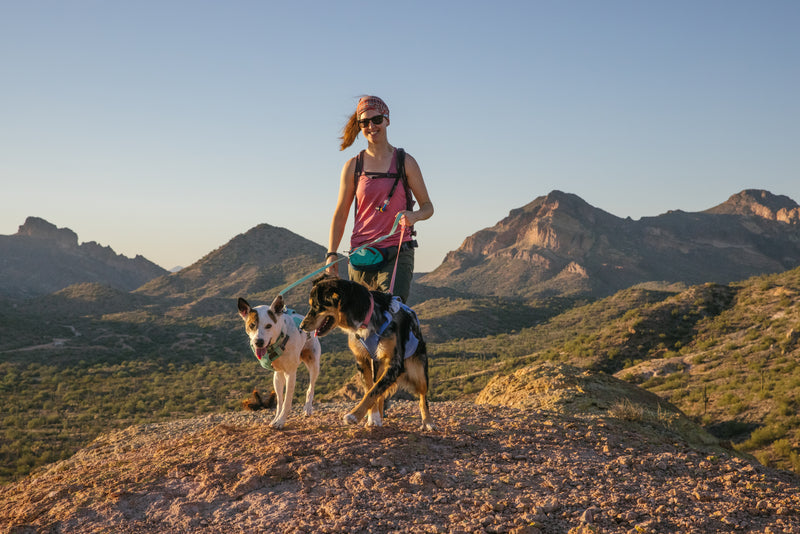 Ruffwear Swamp Cooler Harness-Heliotrope Purple