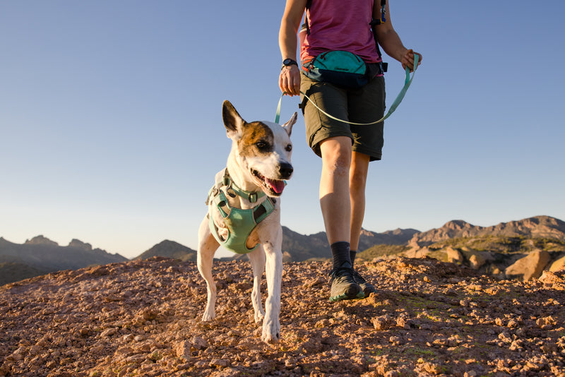 Ruffwear Swamp Cooler Harness-Sage Green