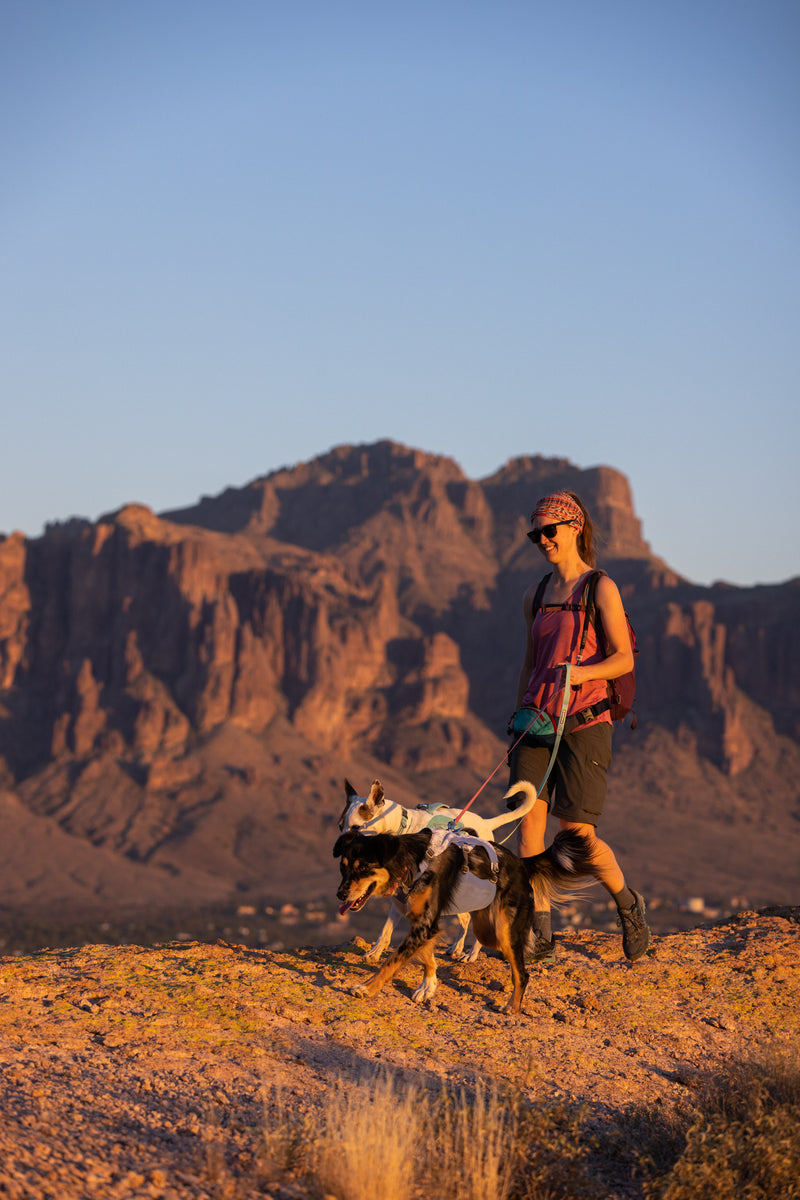 Ruffwear Swamp Cooler Harness-Sage Green