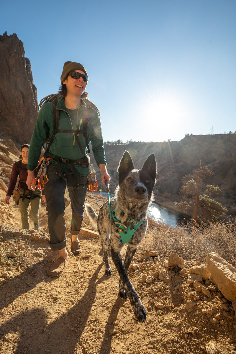 Ruffwear Knot-A-Long-Lichen Green