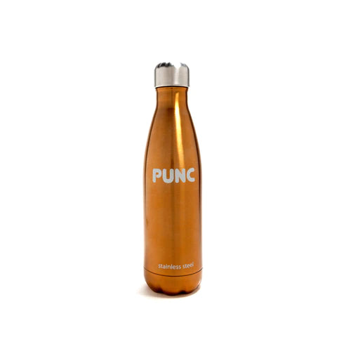 Punc Stainless Steel Insulated Bottle 500ml