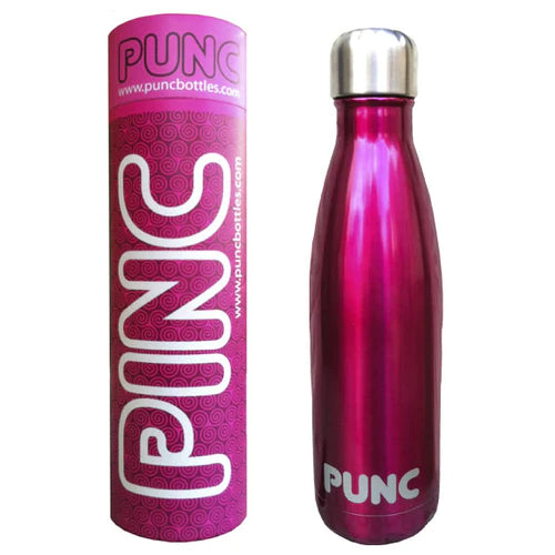 Punc Stainless Steel Insulated Bottle 500ml