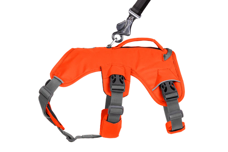 Ruffwear Web Master Dog Harness with Handle-Blaze Orange