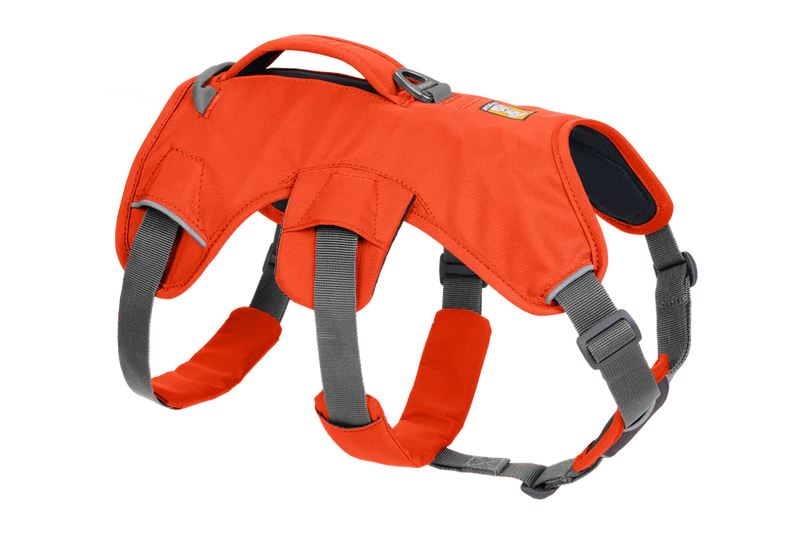 Ruffwear Web Master Dog Harness with Handle-Blaze Orange