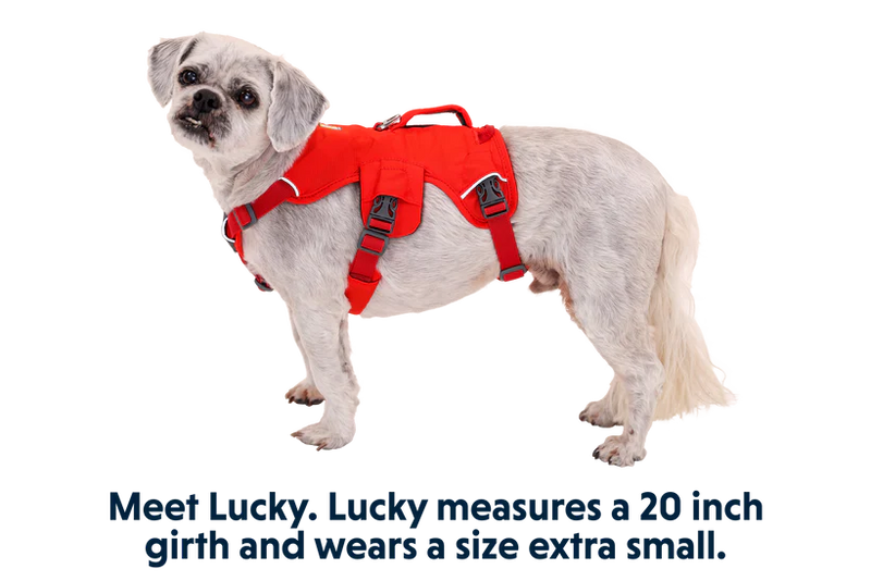 Ruffwear Web Master Dog Harness with Handle-Red Sumac