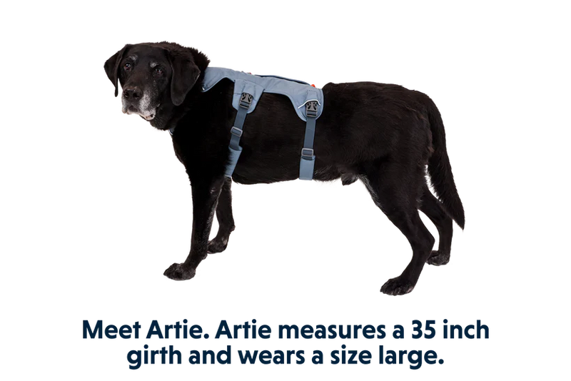 Ruffwear Web Master Dog Harness with Handle-Slate Blue