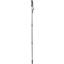 Trekmates Walker Shock Pole-Single-Asphalt