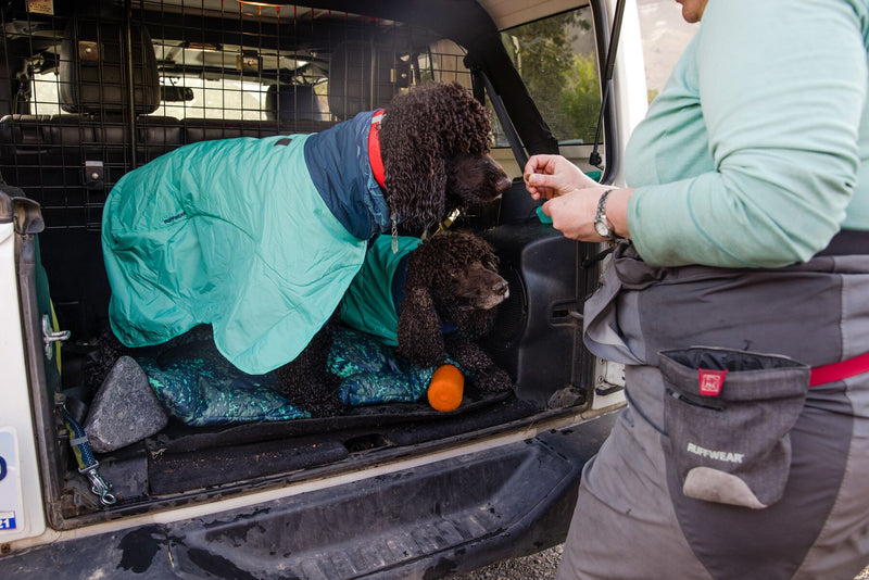 Ruffwear Dirtbag Dog Towel-Aurora Teal