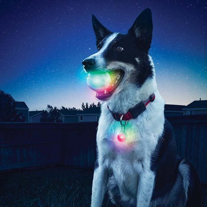 NiteIze GlowStreak LED Dog Ball-Disco O