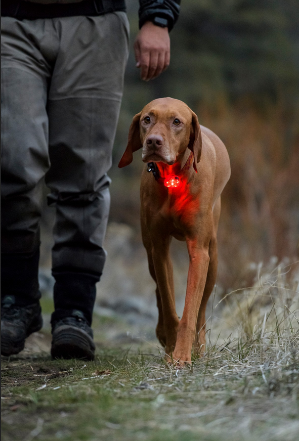 Ruffwear The Beacon Waterproof Safety Light