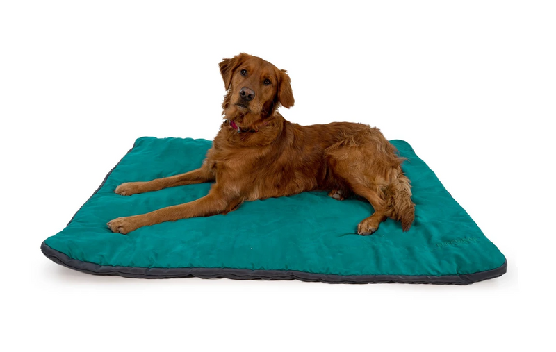 Ruffwear Mt.Bachelor Pad Portable Dog Bed-Tumalo Teal-Medium