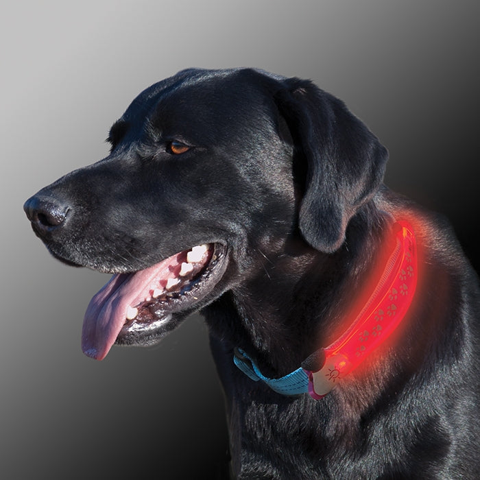 NiteIze Dawg LED Collar Cover