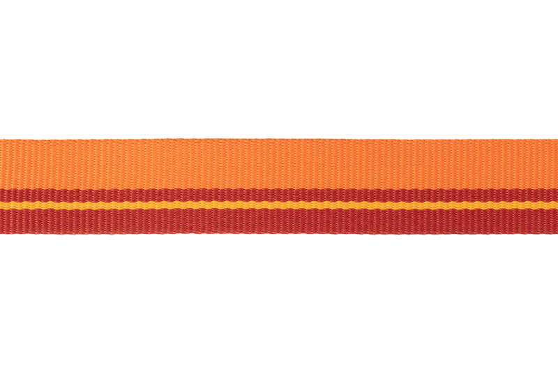 Ruffwear Flat Out Dog Collar-Autumn Horizon