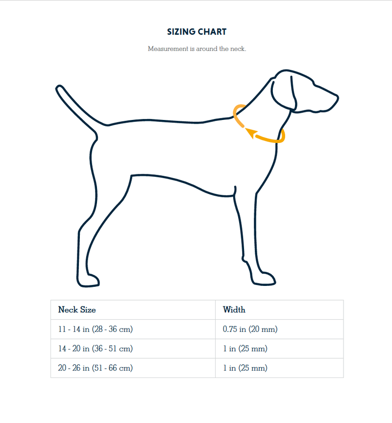 Ruffwear Flat Out Dog Collar-Wildflower Horizon