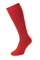 HJ Hall Rambler HJ800 Wool Rich Socks-Assorted Colours