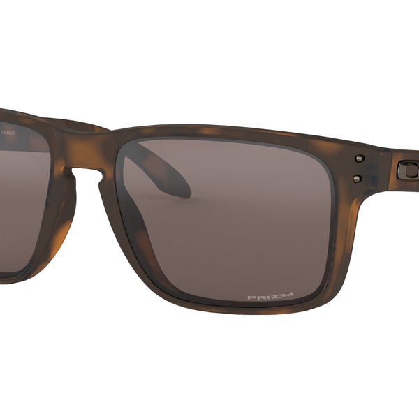 Holbrook xl matte brown tortoise top