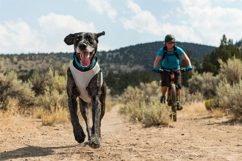 Ruffwear Jet Stream Cooling Vest-Blue Lagoon