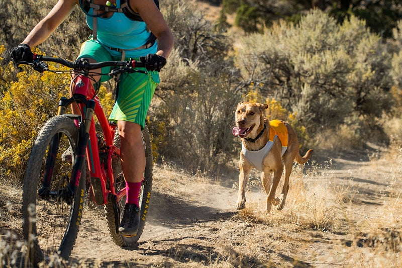 Ruffwear Jet Stream Cooling Vest-Blue Lagoon